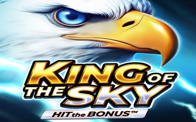 King of the Sky: Hit the Bonus™ social slot visual